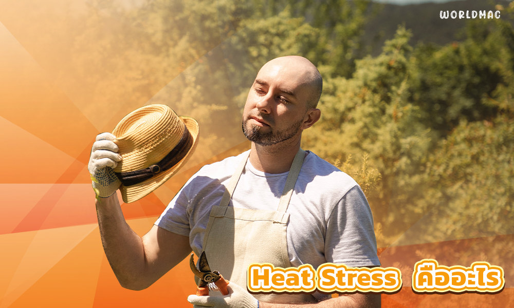 2.Heat Stress คืออะไร