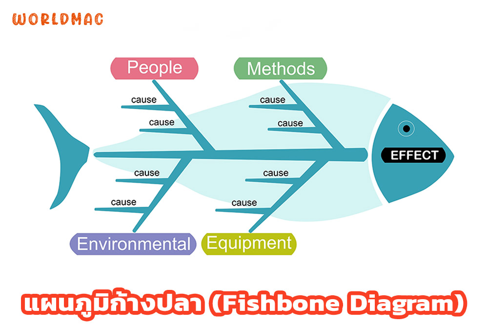 แผนภูมิก้างปลา (Fishbone Diagram)